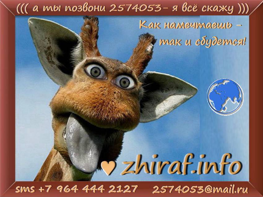 zhiraf.info